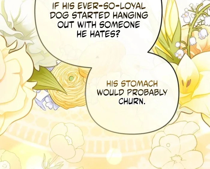 Even if I Hide My Power, the Noble Lady Is the Strongest Chapter 20 page 47