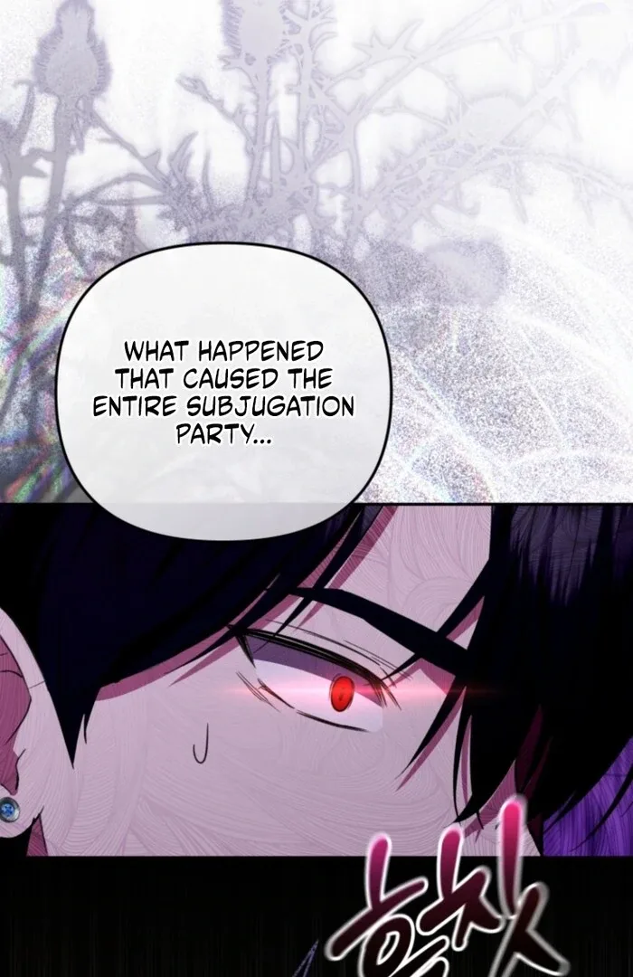 Even if I Hide My Power, the Noble Lady Is the Strongest Chapter 20 page 64