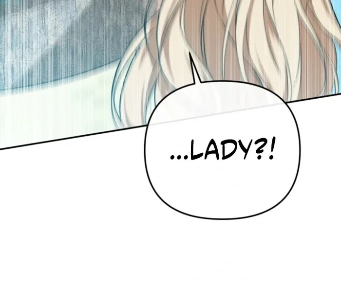 Even if I Hide My Power, the Noble Lady Is the Strongest Chapter 20 page 67