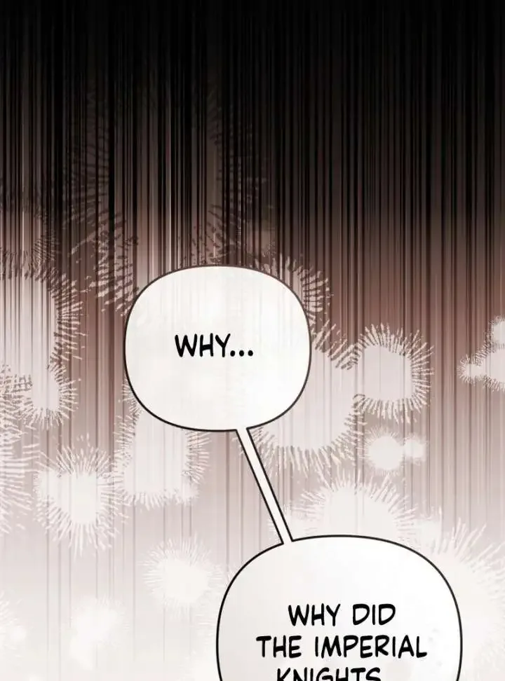 Even if I Hide My Power, the Noble Lady Is the Strongest Chapter 21 page 129
