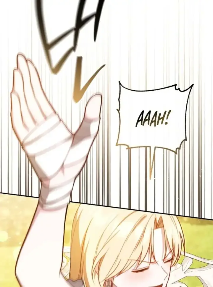 Even if I Hide My Power, the Noble Lady Is the Strongest Chapter 23 page 19
