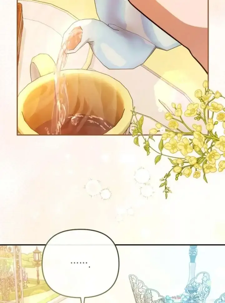 Even if I Hide My Power, the Noble Lady Is the Strongest Chapter 23 page 63