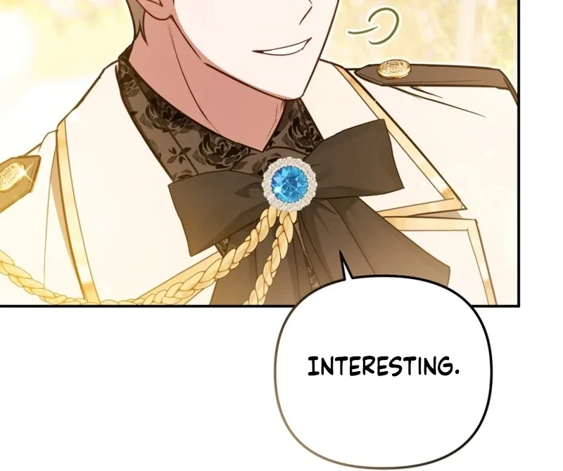 Even if I Hide My Power, the Noble Lady Is the Strongest Chapter 24 page 17