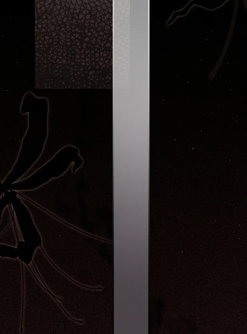 Even if I Hide My Power, the Noble Lady Is the Strongest Chapter 25 page 29