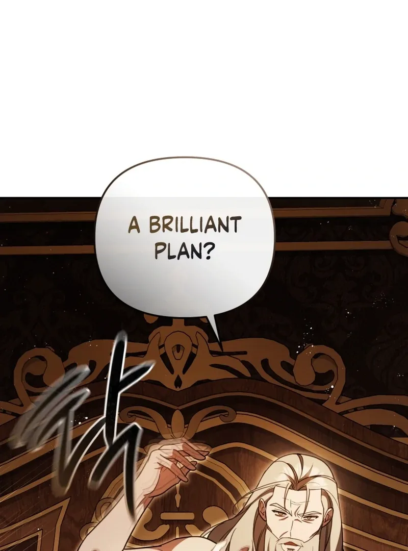 Even if I Hide My Power, the Noble Lady Is the Strongest Chapter 25 page 47