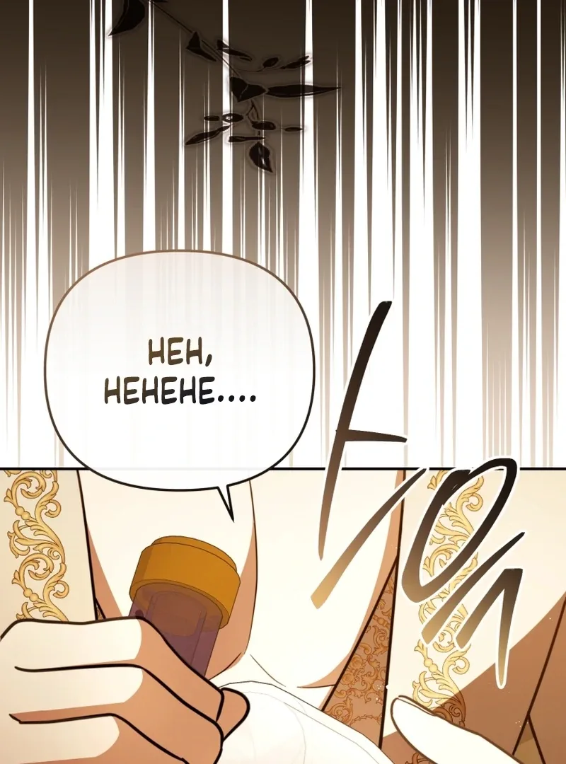 Even if I Hide My Power, the Noble Lady Is the Strongest Chapter 25 page 85