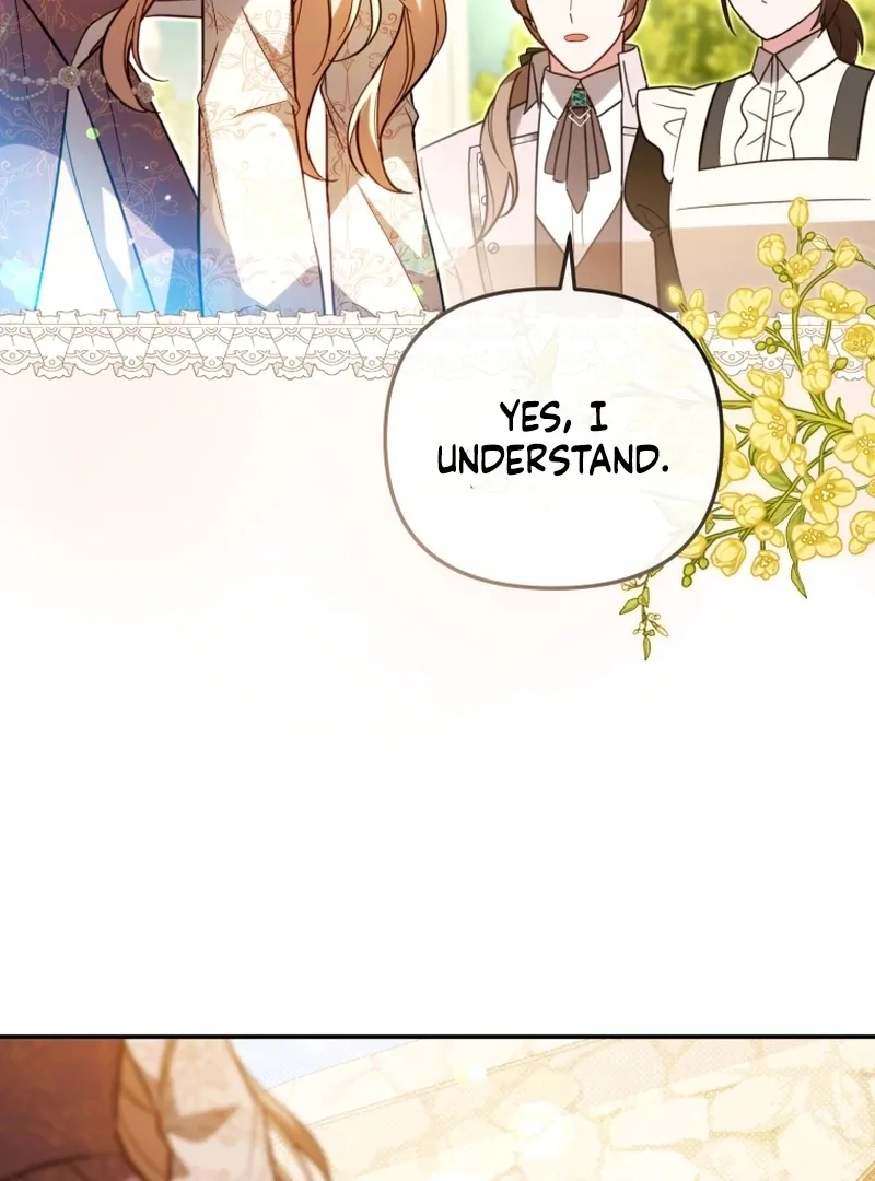 Even if I Hide My Power, the Noble Lady Is the Strongest Chapter 26 page 34