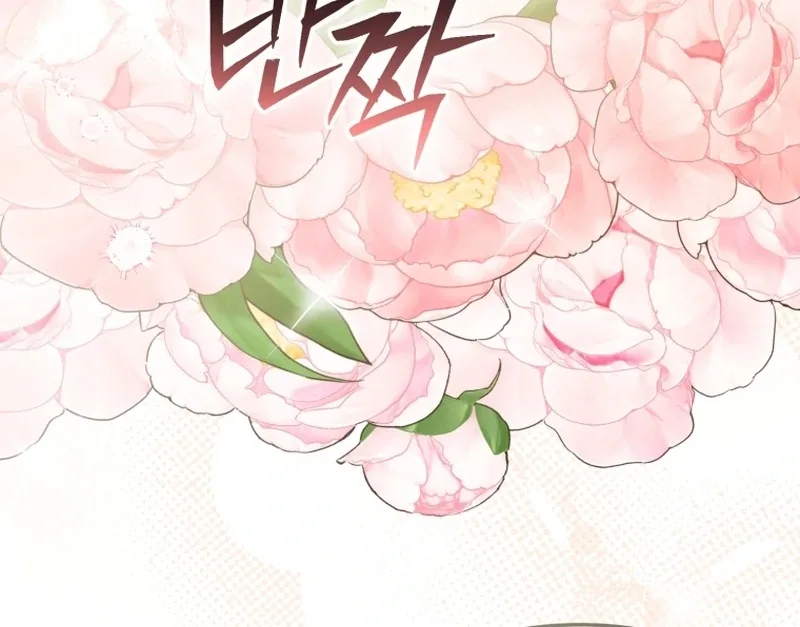 Even if I Hide My Power, the Noble Lady Is the Strongest Chapter 26 page 63
