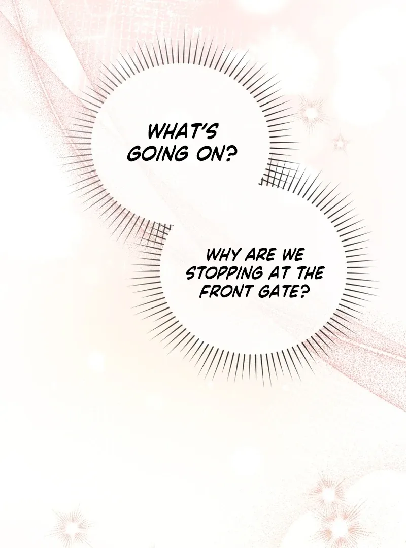 Even if I Hide My Power, the Noble Lady Is the Strongest Chapter 26 page 132
