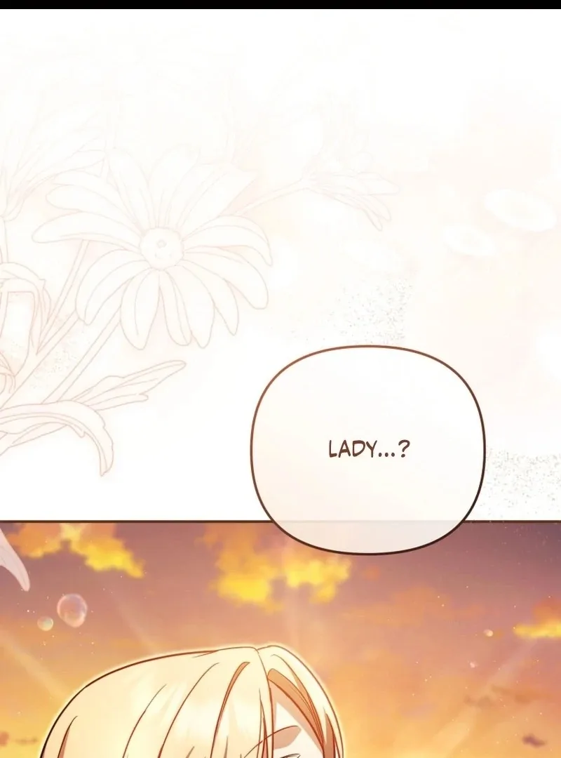 Even if I Hide My Power, the Noble Lady Is the Strongest Chapter 27 page 1