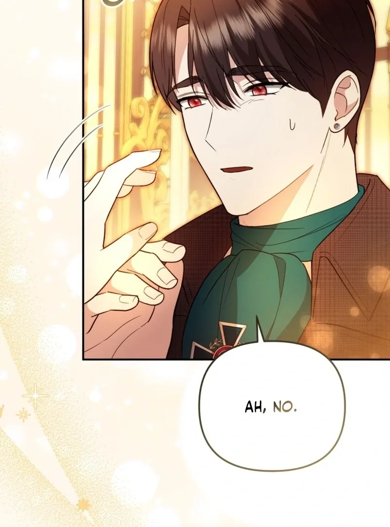 Even if I Hide My Power, the Noble Lady Is the Strongest Chapter 27 page 17