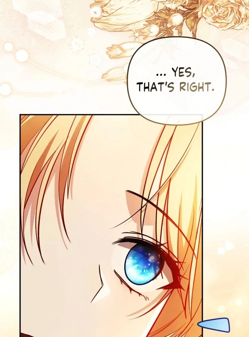 Even if I Hide My Power, the Noble Lady Is the Strongest Chapter 27 page 9