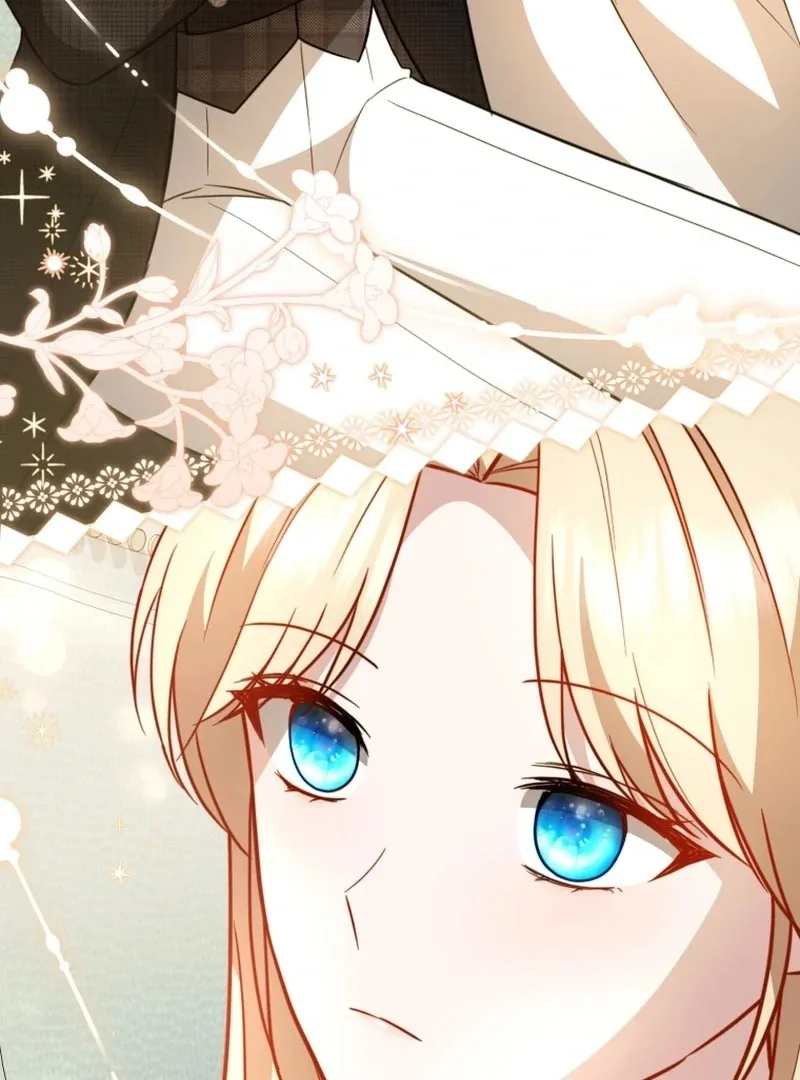 Even if I Hide My Power, the Noble Lady Is the Strongest Chapter 27 page 88