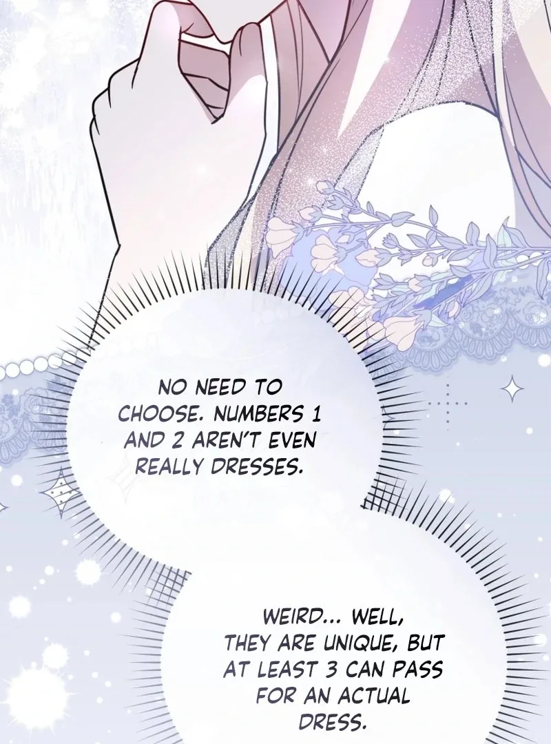 Even if I Hide My Power, the Noble Lady Is the Strongest Chapter 27 page 149