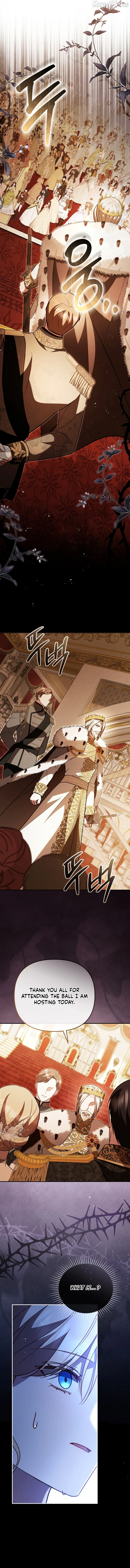 Even if I Hide My Power, the Noble Lady Is the Strongest Chapter 29 page 16