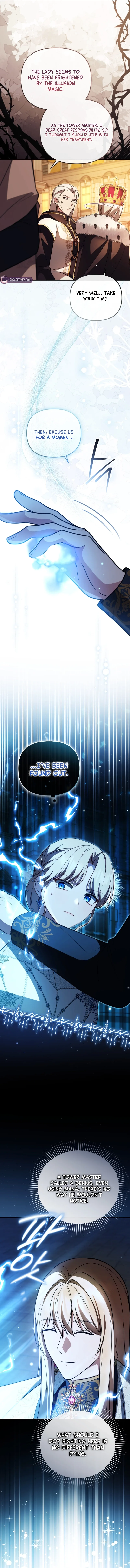 Even if I Hide My Power, the Noble Lady Is the Strongest Chapter 34 page 8