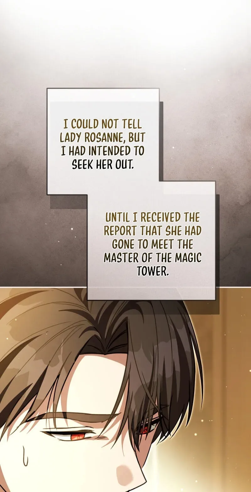 Even if I Hide My Power, the Noble Lady Is the Strongest Chapter 43 page 17