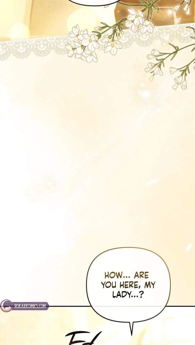 Even if I Hide My Power, the Noble Lady Is the Strongest Chapter 43 page 11