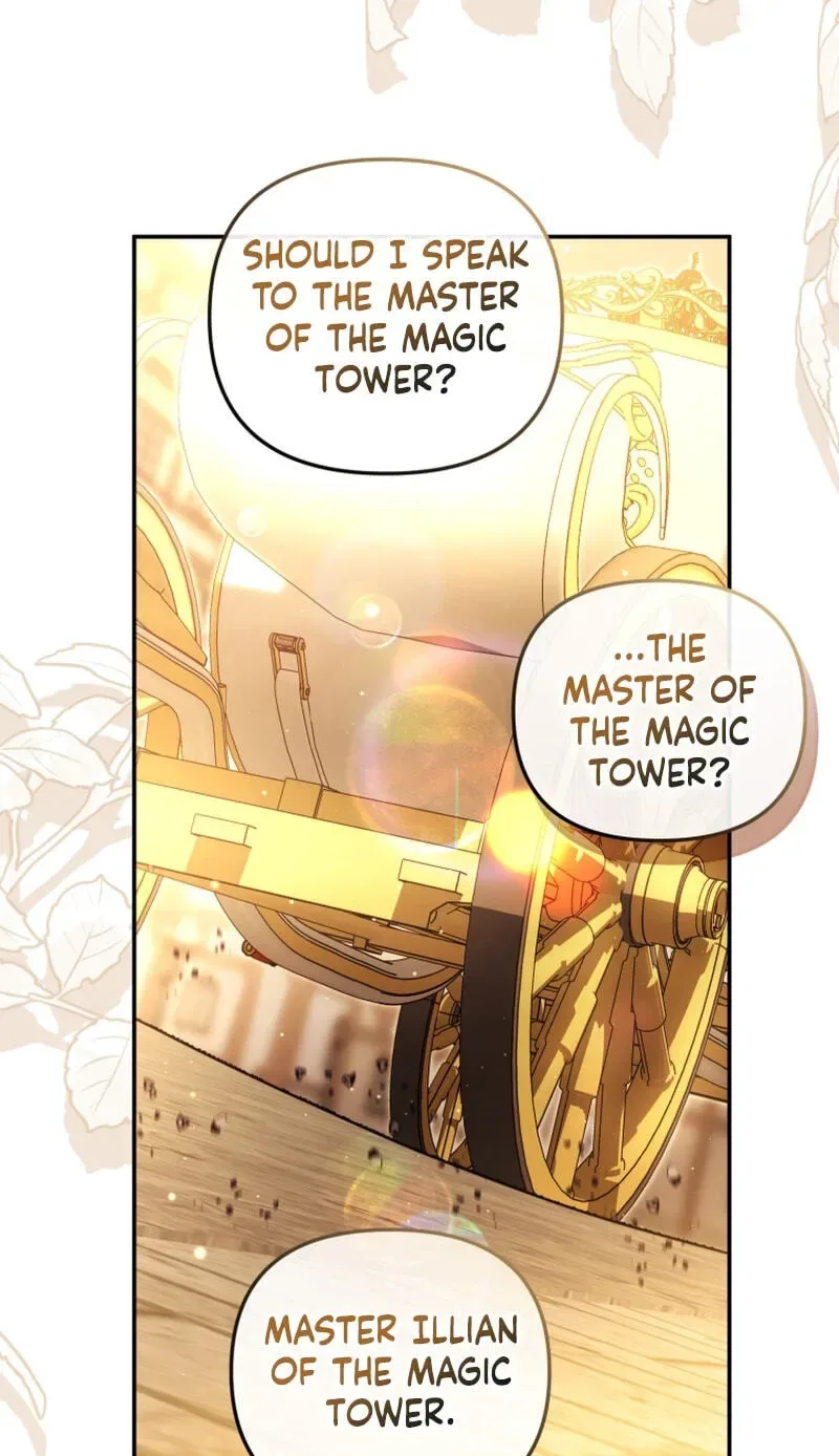 Even if I Hide My Power, the Noble Lady Is the Strongest Chapter 43 page 74