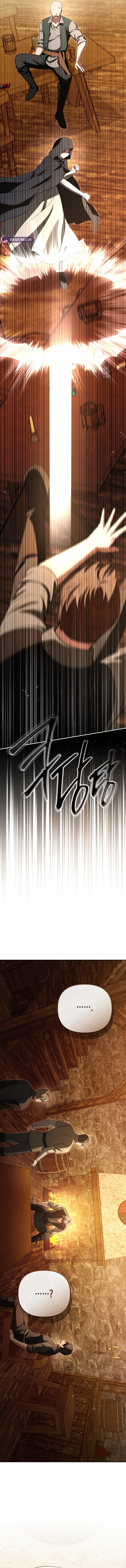 Even if I Hide My Power, the Noble Lady Is the Strongest Chapter 45 page 17
