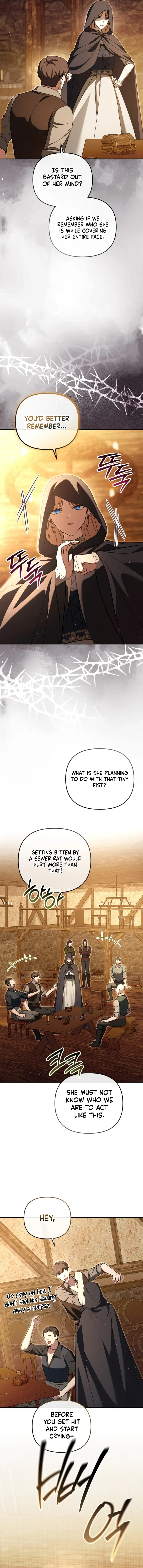 Even if I Hide My Power, the Noble Lady Is the Strongest Chapter 45 page 16
