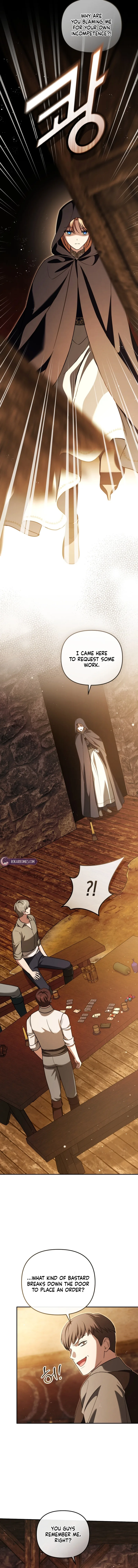 Even if I Hide My Power, the Noble Lady Is the Strongest Chapter 45 page 15
