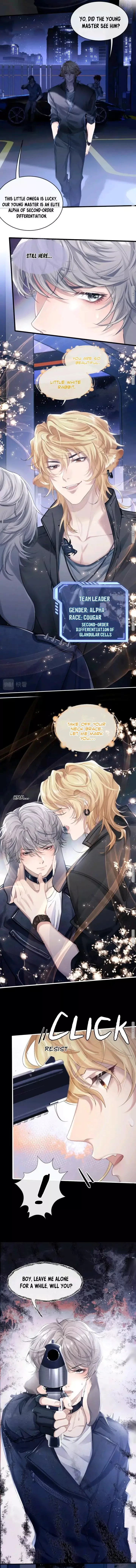 Everlasting Love Chapter 1 page 2
