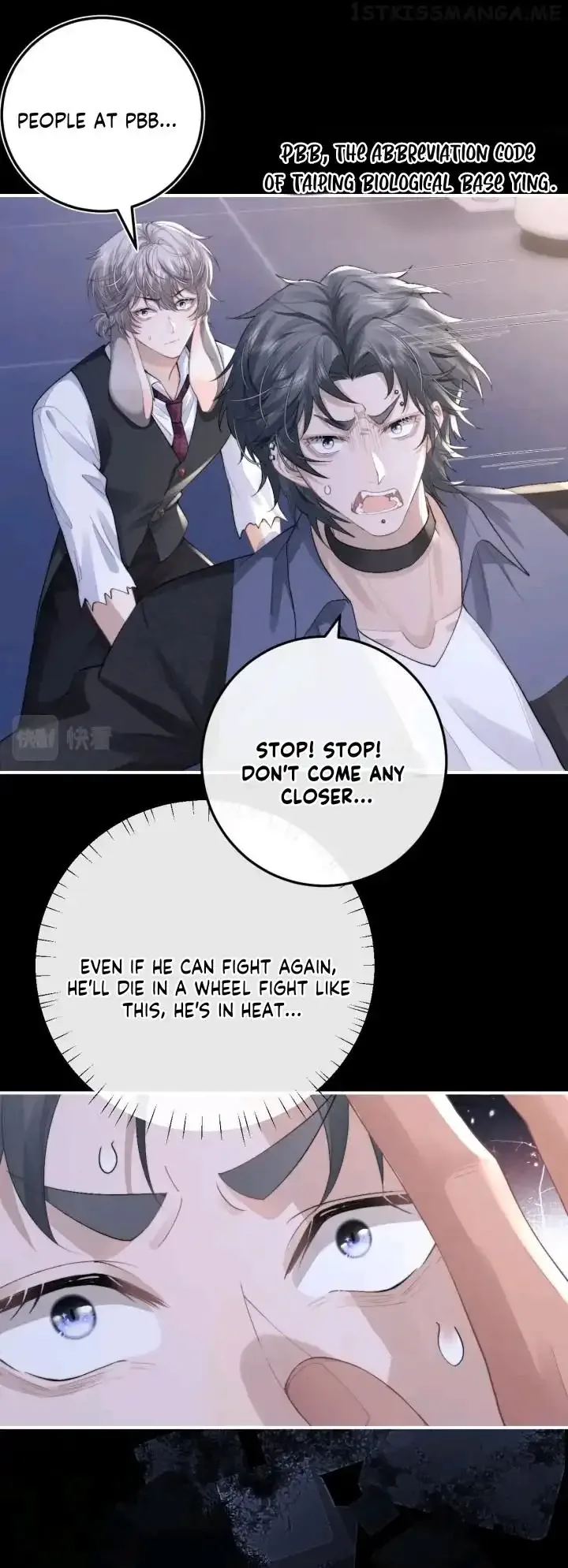 Everlasting Love Chapter 37 page 31