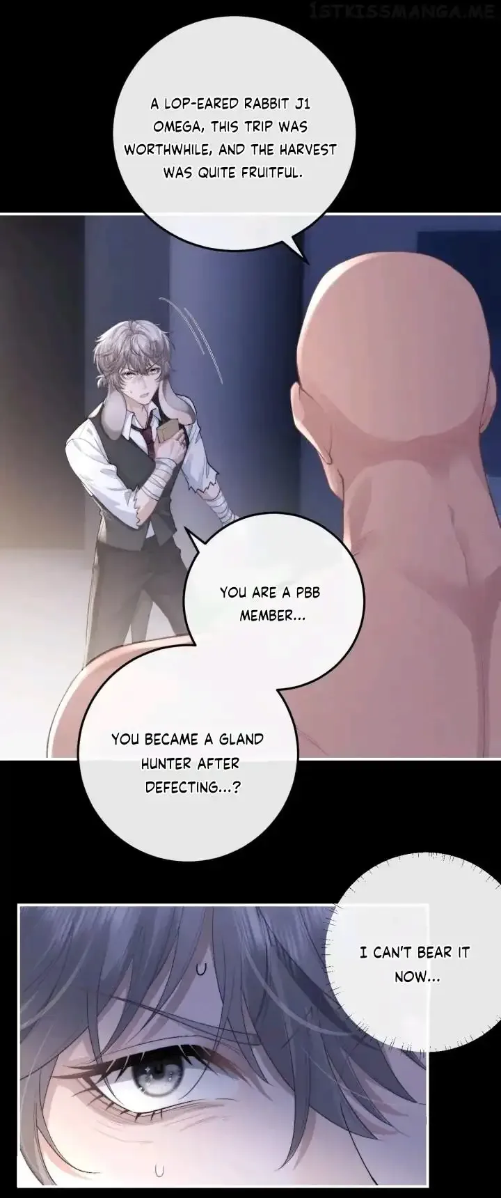 Everlasting Love Chapter 37 page 33