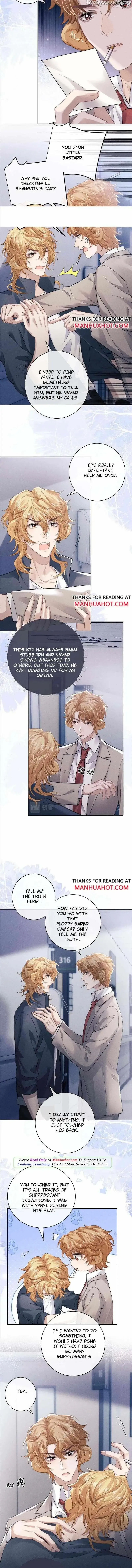 Everlasting Love Chapter 49 page 4
