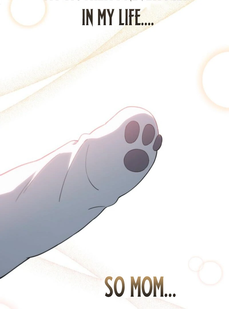 Face Genius, 0-Year-Old Top Star Chapter 9 page 97