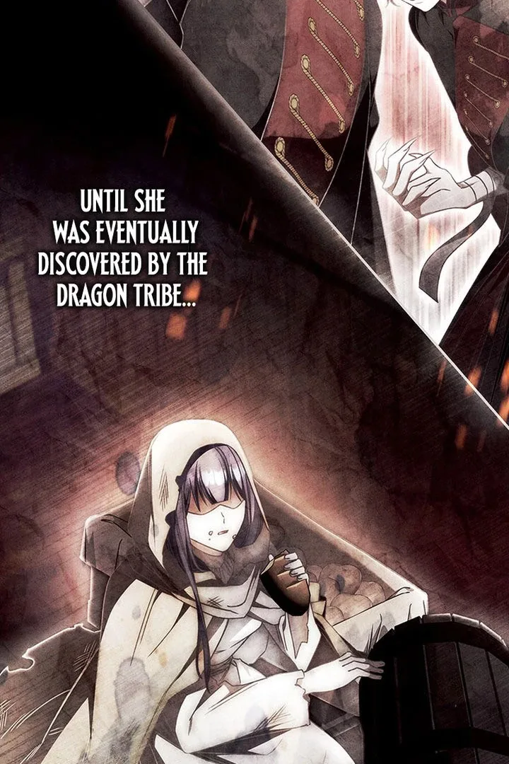 Father, I Won't Do Anything Chapter 56 page 11