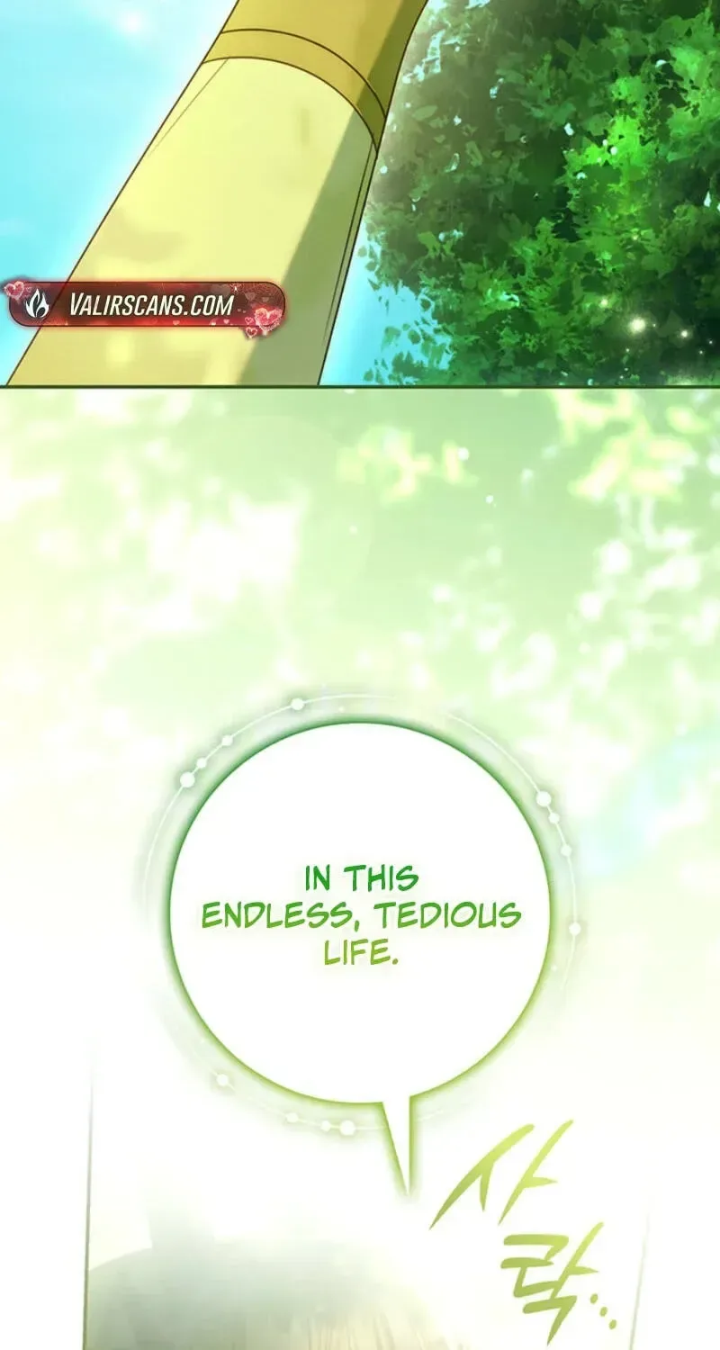 Father, I Won't Do Anything Chapter 81 page 36