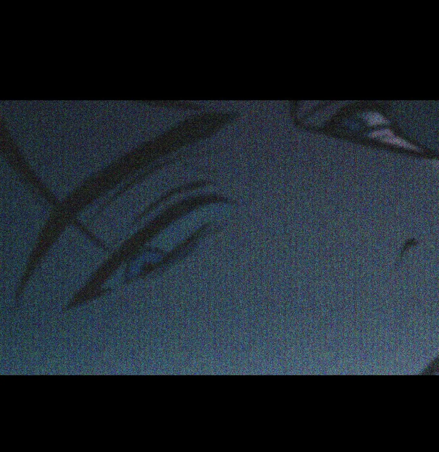 Flashlight Chapter 62 page 16
