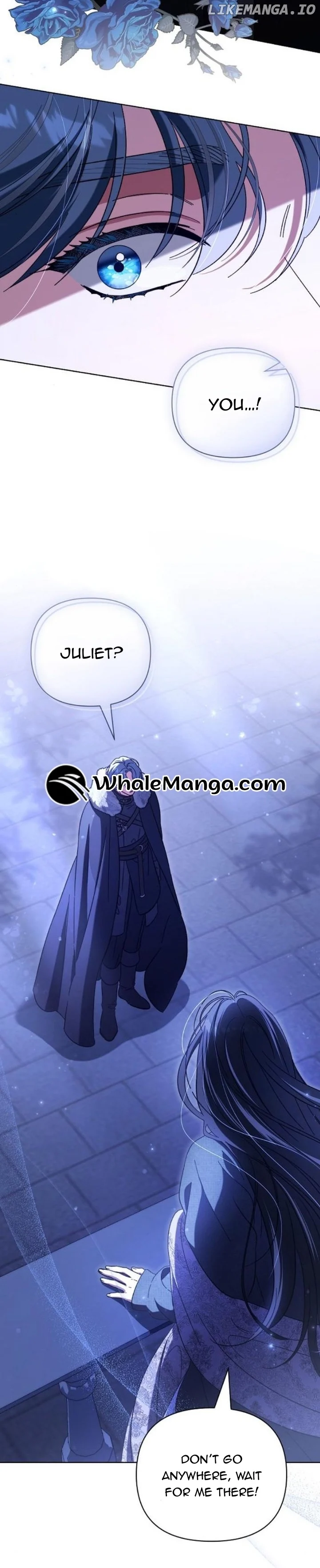 For The Beautiful Juliet Chapter 11 page 29