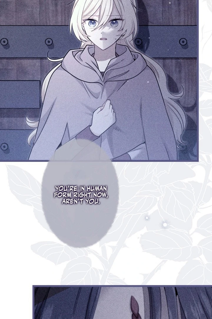 Forget That Night, Your Majesty Chapter 58 page 42