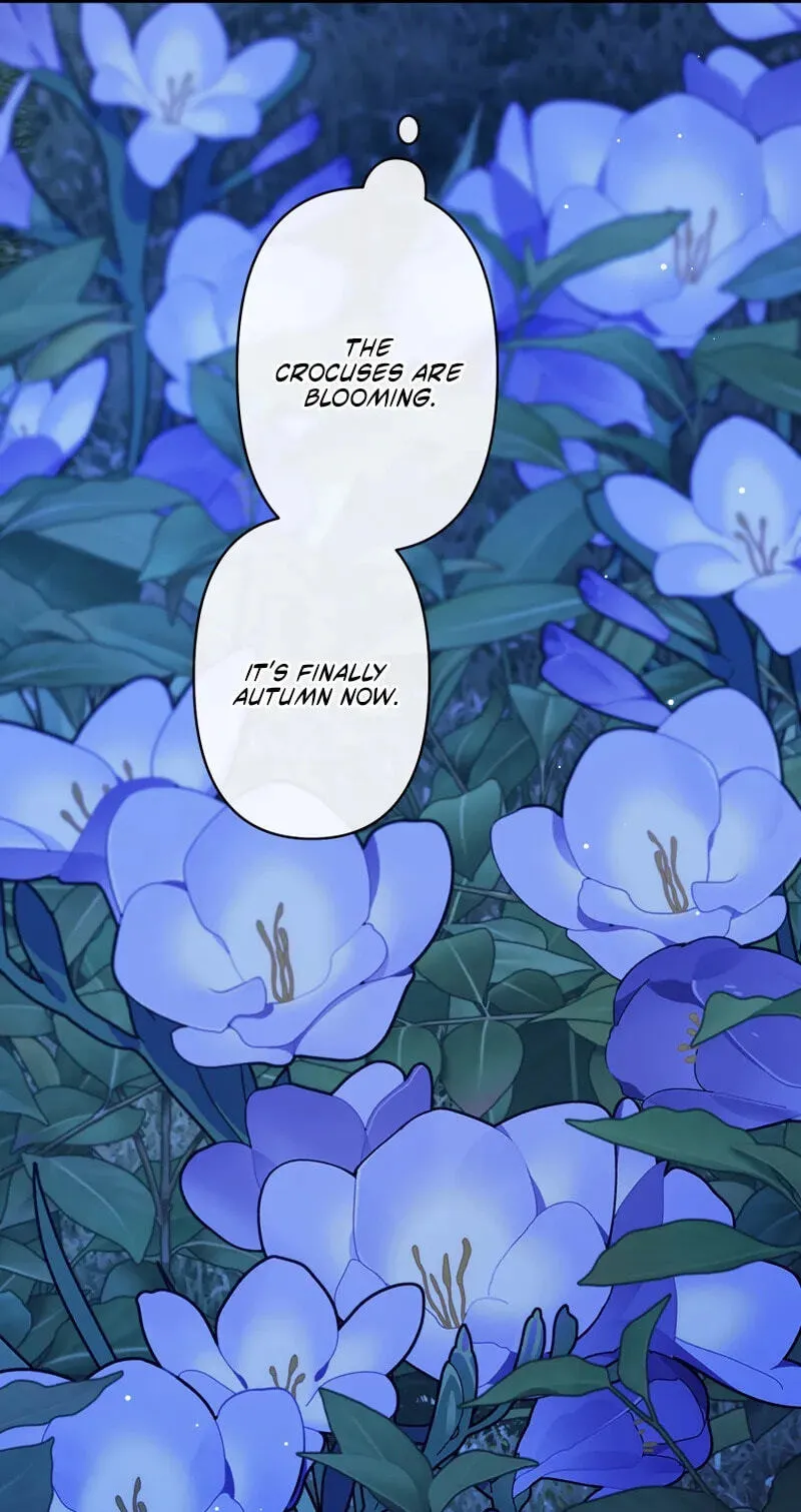 Forget That Night, Your Majesty Chapter 91 page 16