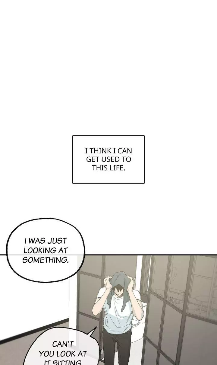 Form of Sympathy Chapter 85 page 46