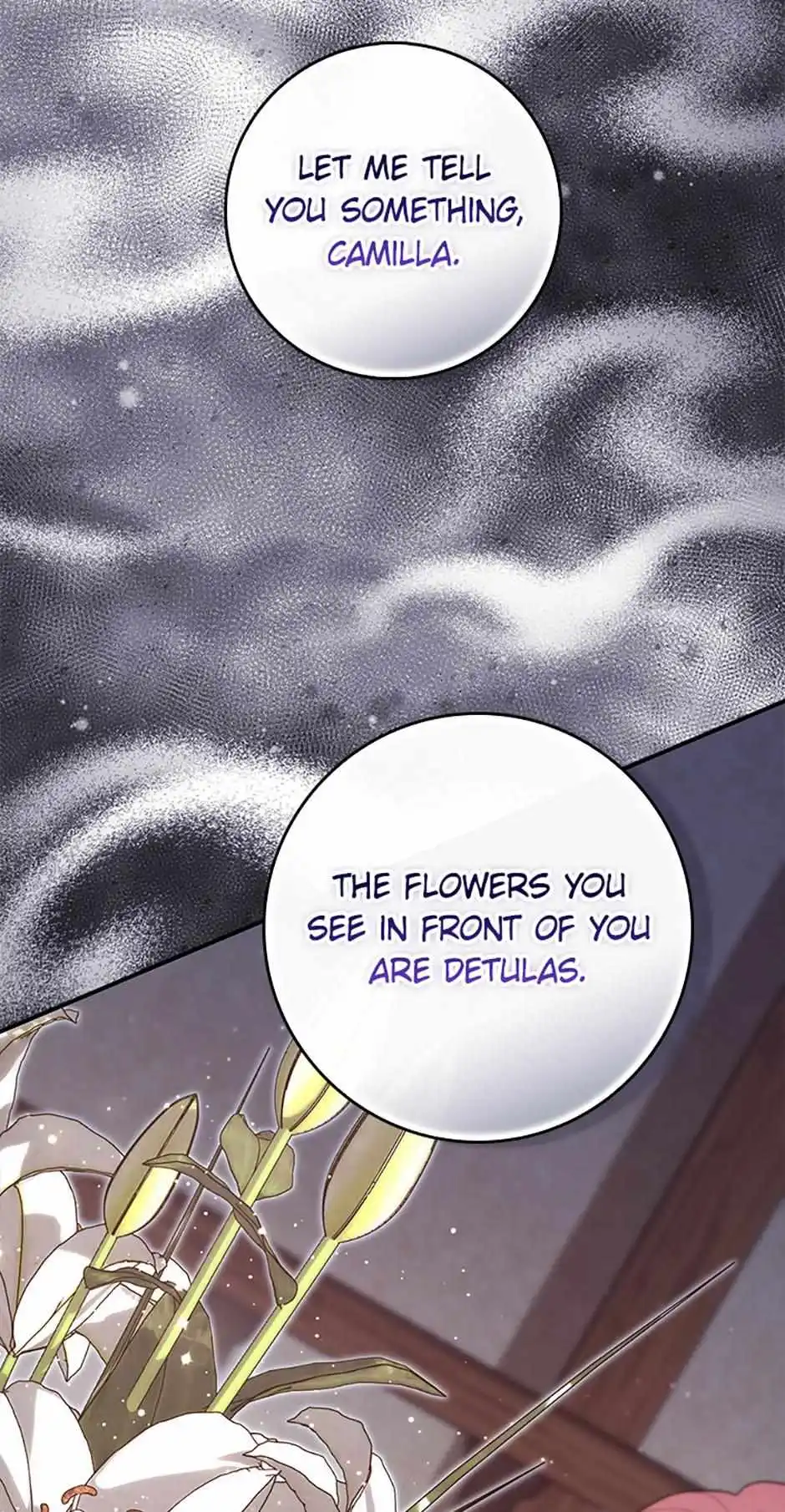Fortune-Telling Lady Chapter 80 page 76