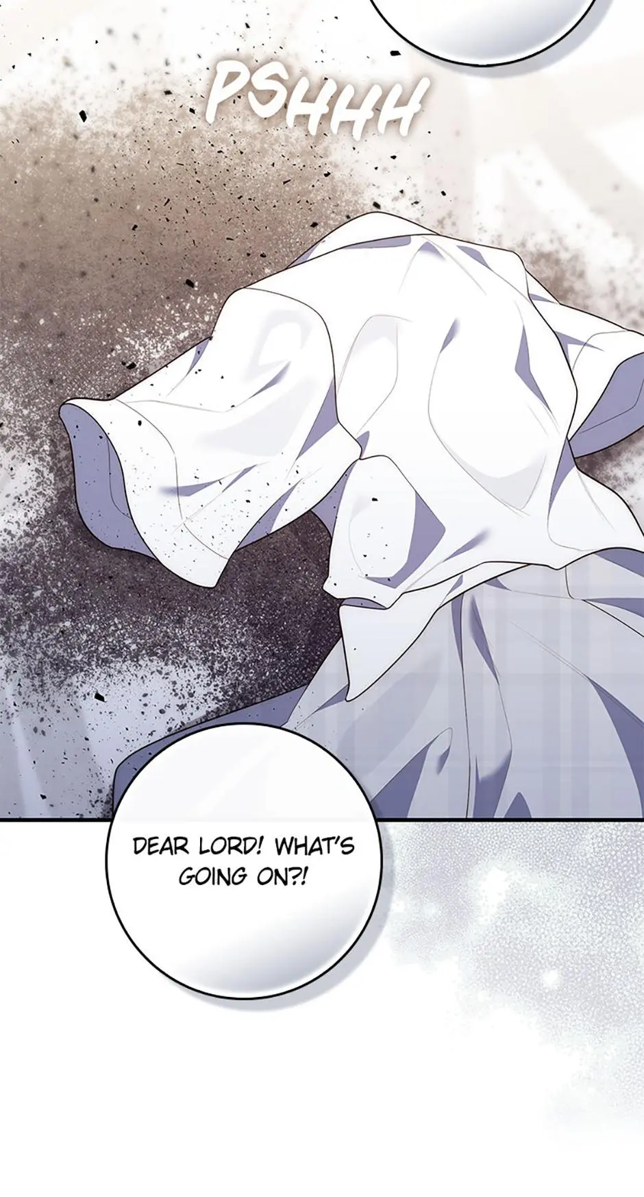 Fortune-Telling Lady Chapter 84 page 17