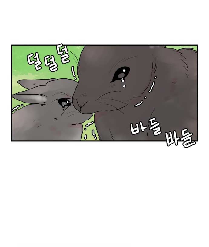 Fox Love Story Chapter 1 page 41