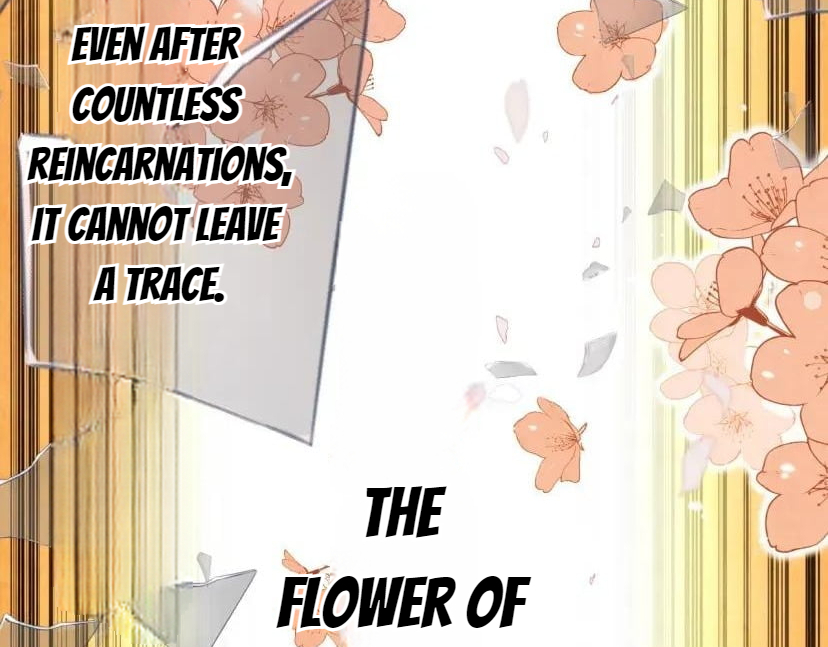 God-level Assassin, I’m the Shadow Chapter 137 page 47