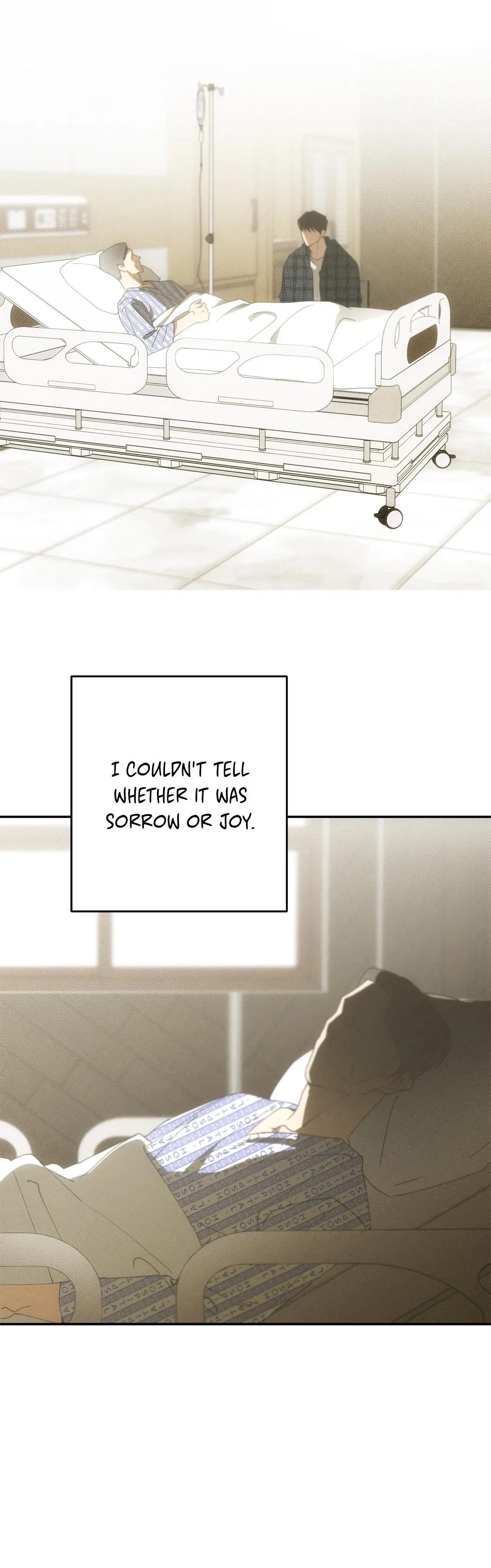Golden Light for You Chapter 40 page 14