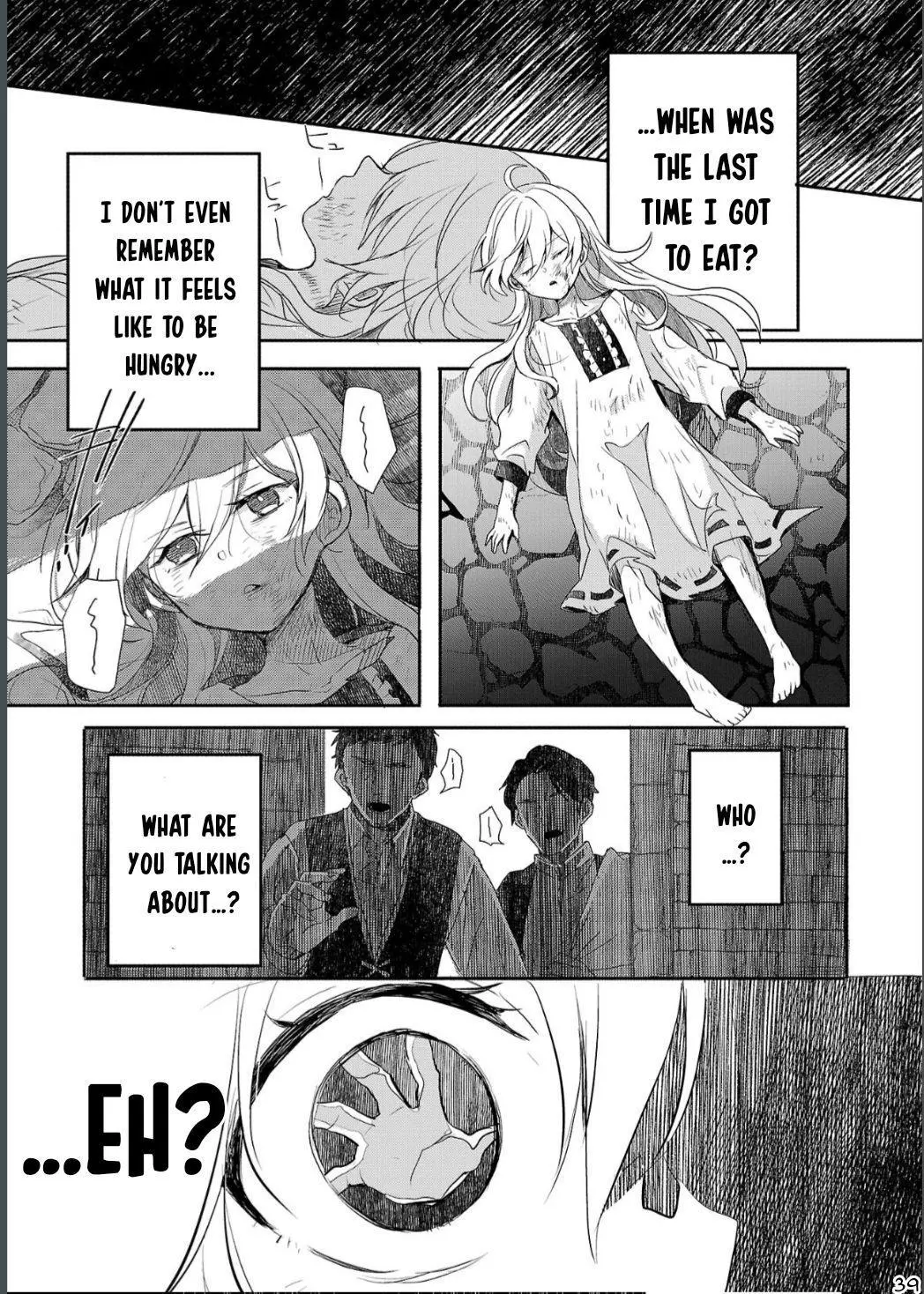 Gyakutaisarete Ita Shouka no Reijou wa Seijo no Chikara wo Te ni Ire, Mujikaku ni Youshanaku Gyakushuu suru Chapter 1 page 40