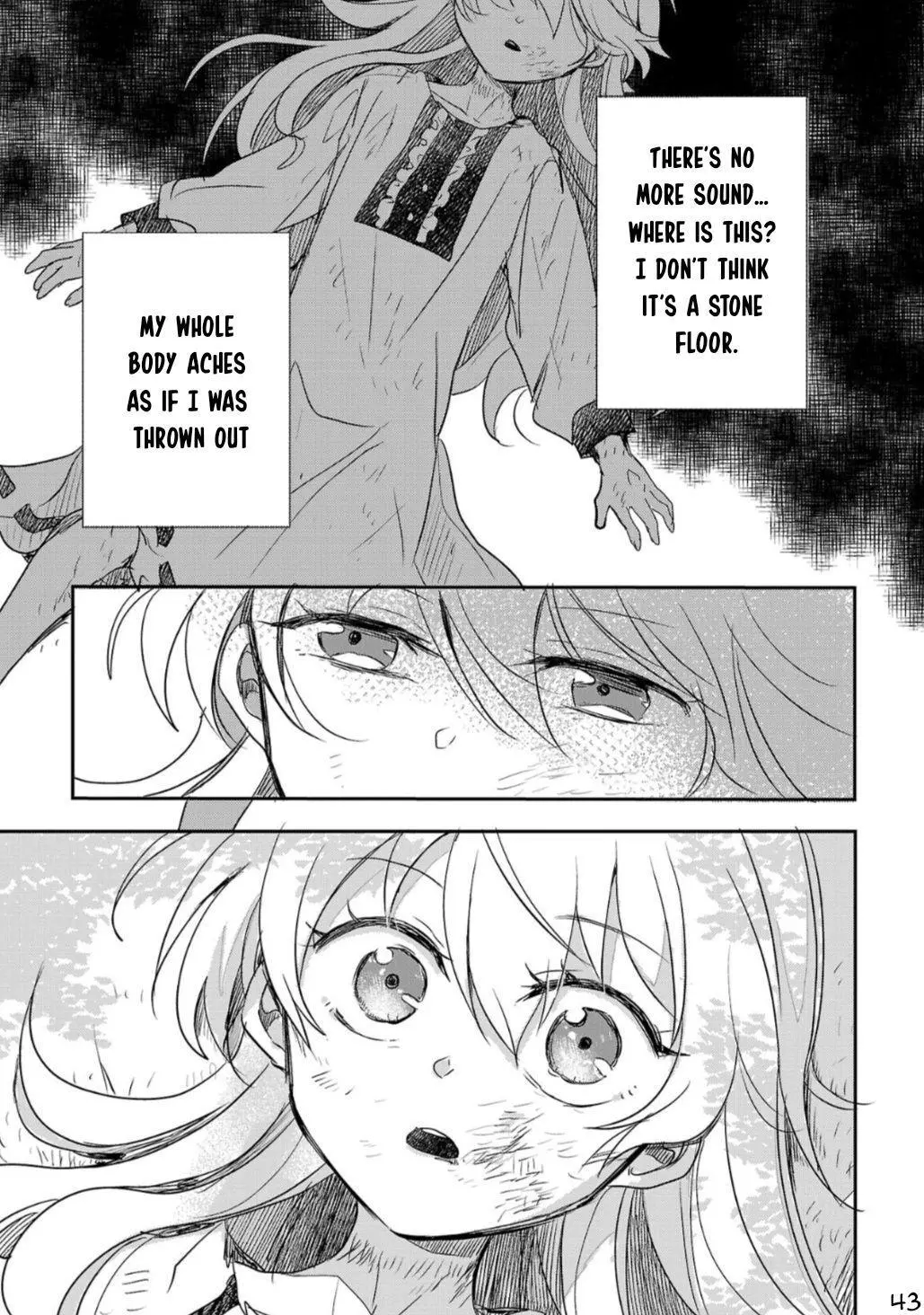 Gyakutaisarete Ita Shouka no Reijou wa Seijo no Chikara wo Te ni Ire, Mujikaku ni Youshanaku Gyakushuu suru Chapter 1 page 44