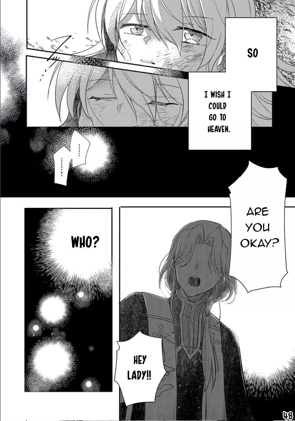 Gyakutaisarete Ita Shouka no Reijou wa Seijo no Chikara wo Te ni Ire, Mujikaku ni Youshanaku Gyakushuu suru Chapter 1 page 49