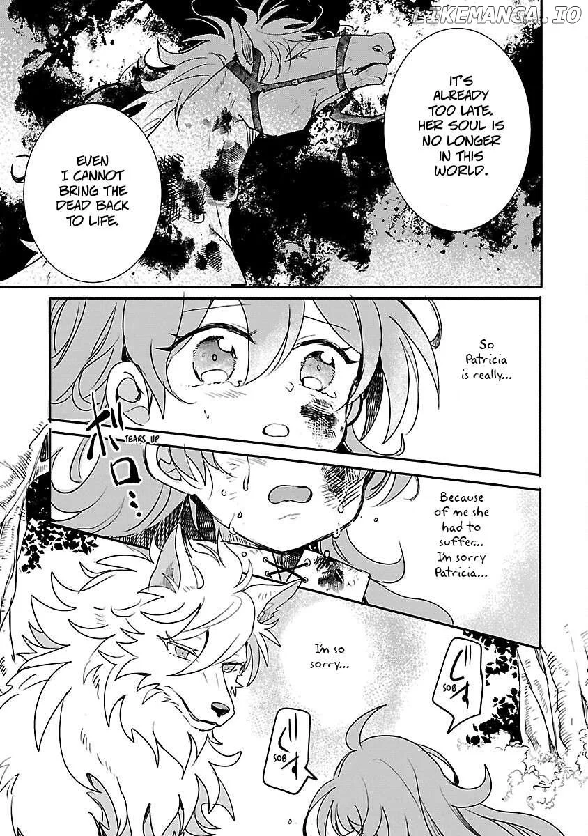 Gyakutaisarete Ita Shouka no Reijou wa Seijo no Chikara wo Te ni Ire, Mujikaku ni Youshanaku Gyakushuu suru Chapter 11 page 29