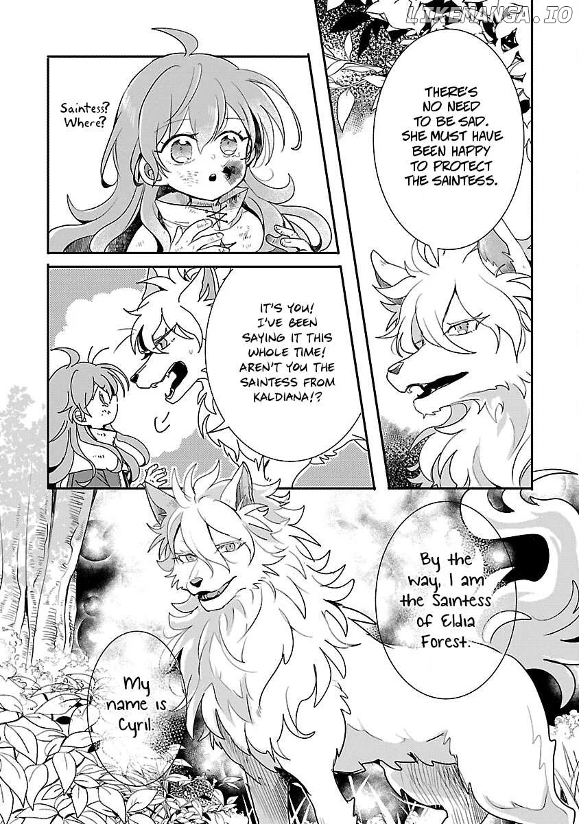 Gyakutaisarete Ita Shouka no Reijou wa Seijo no Chikara wo Te ni Ire, Mujikaku ni Youshanaku Gyakushuu suru Chapter 11 page 30