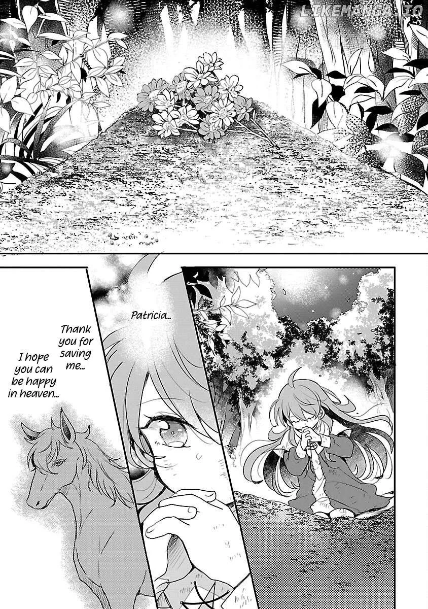 Gyakutaisarete Ita Shouka no Reijou wa Seijo no Chikara wo Te ni Ire, Mujikaku ni Youshanaku Gyakushuu suru Chapter 13 page 19