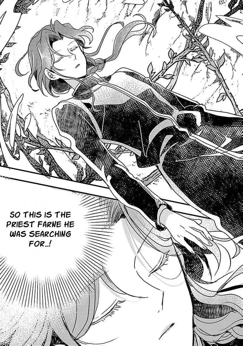 Gyakutaisarete Ita Shouka no Reijou wa Seijo no Chikara wo Te ni Ire, Mujikaku ni Youshanaku Gyakushuu suru Chapter 18 page 17